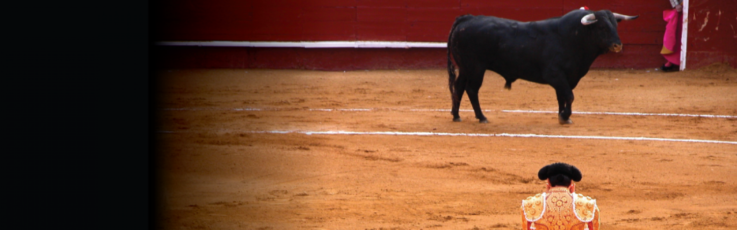 BullfightBloodbath