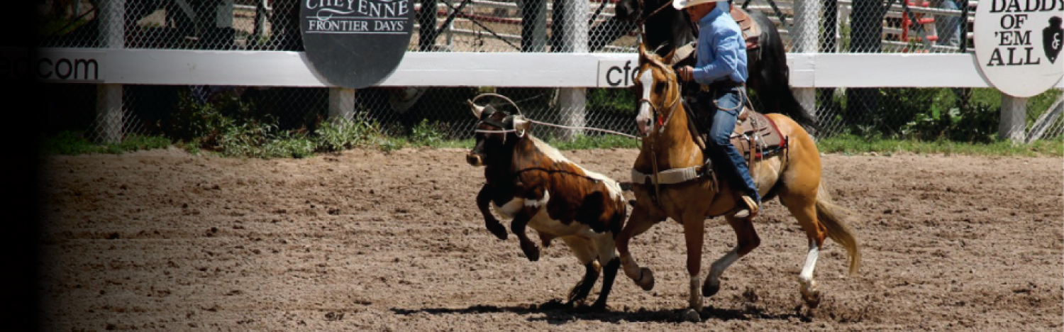 Rodeo Cruelty