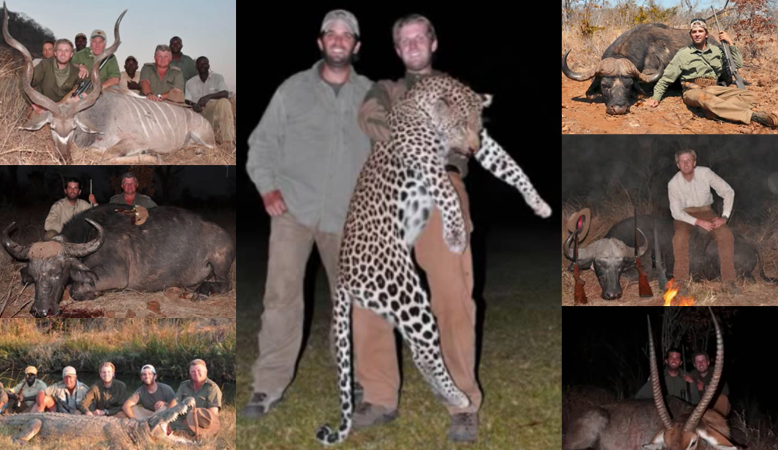 Trumps love to kill animals for 