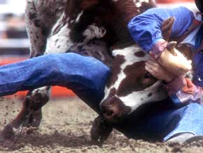 Tucson rodeo