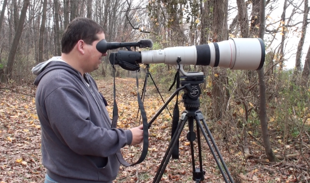 Filming a Pigeon Shoot